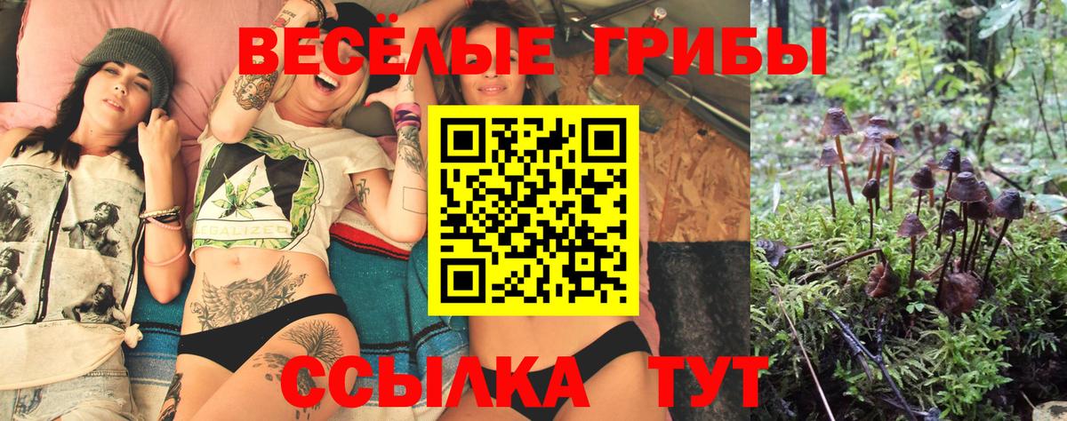 Галлюциногенные грибы мицелий Будённовск