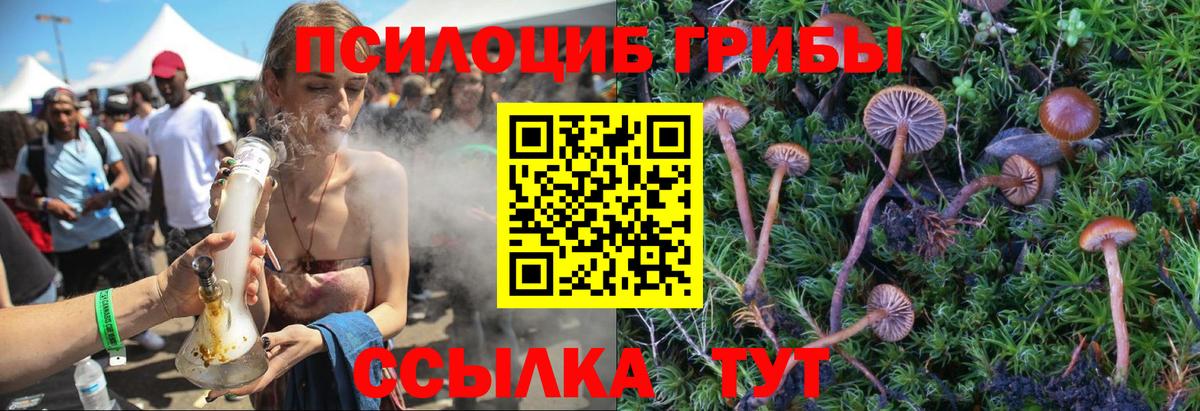 Галлюциногенные грибы ЛСД  Галлюциногенные грибы мицелий  Будённовск  Вход с VPN 
