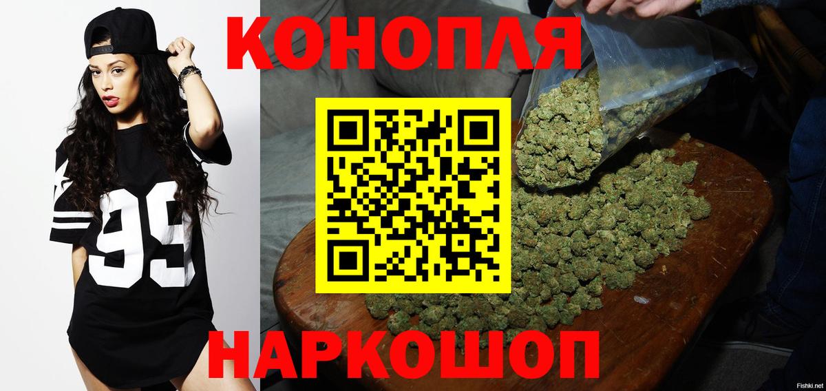 МАРИХУАНА ГИДРОПОН Будённовск